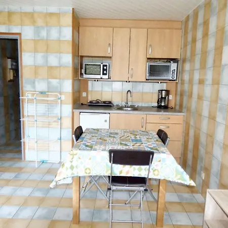 Dans - 25 M² Avec Terrasse Et Parking Brioude